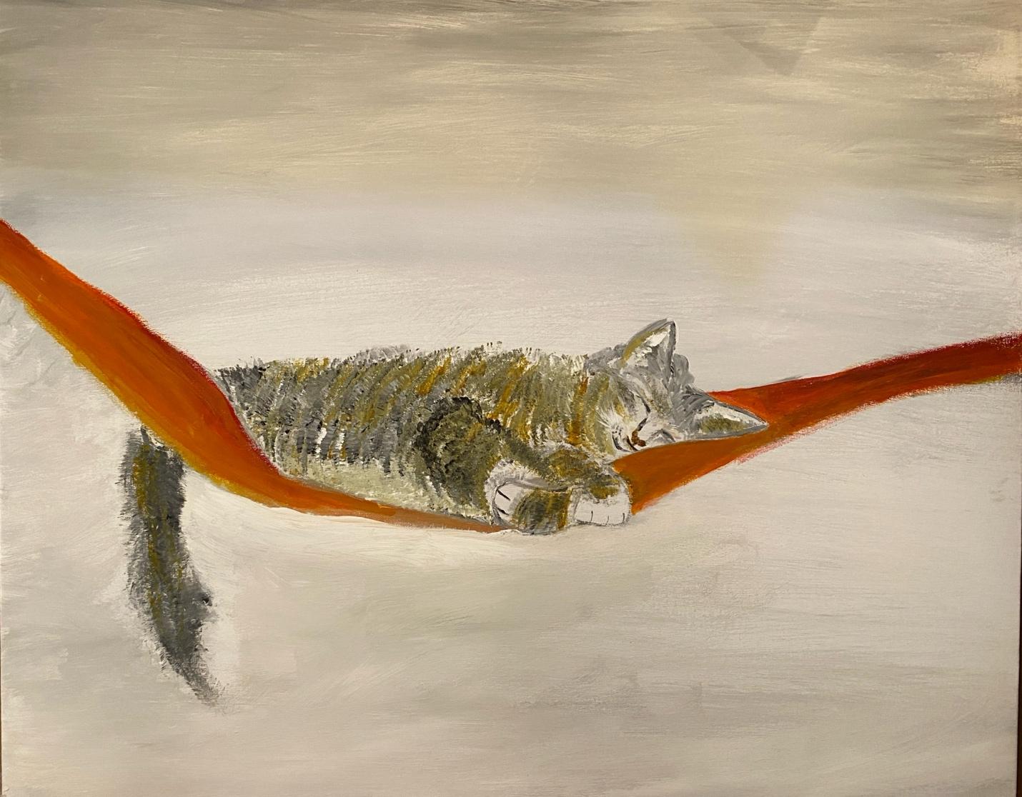 Dreams Floating on a Hammock